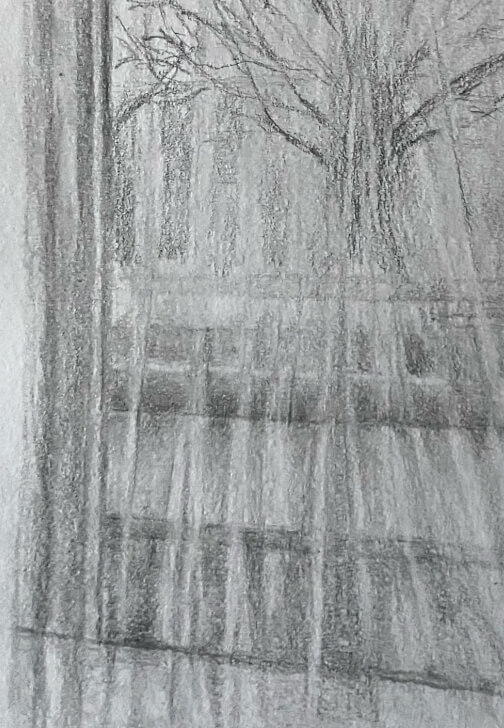 Learn to Draw Workshop: Adult Beginner Lessons