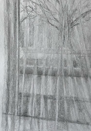 Learn to Draw Workshop: Adult Beginner Lessons
