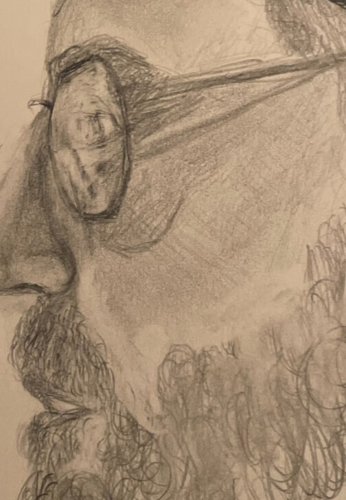 Learn to Draw Workshop: Adult Beginner Lessons