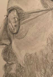 Learn to Draw Workshop: Adult Beginner Lessons