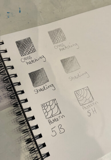 Learn to Draw Workshop: Adult Beginner Lessons