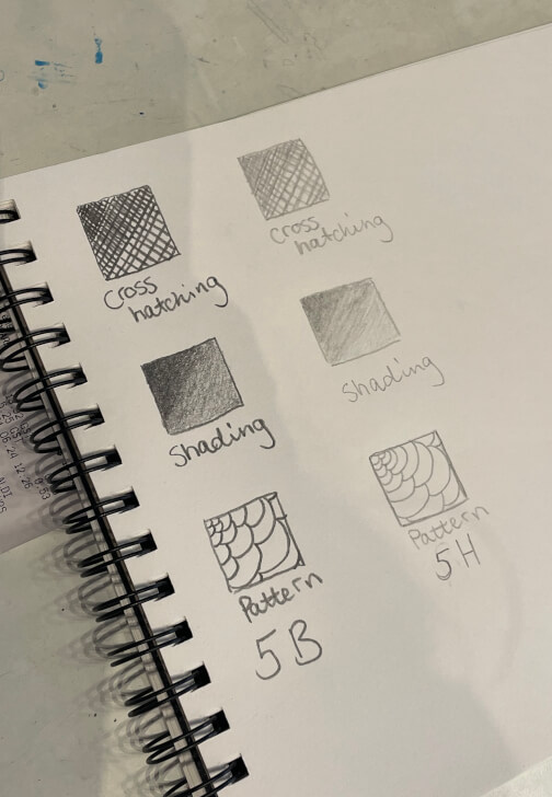 Learn to Draw Workshop: Adult Beginner Lessons