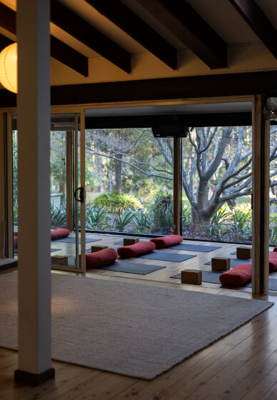 Learn to Meditate Workshop