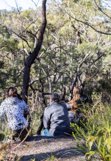 Learn to Meditate Workshop