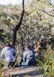 Learn to Meditate Workshop