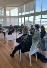 Learn to Play the Ukulele