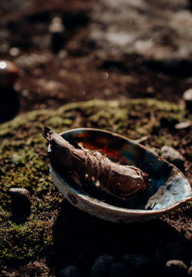 Learn to Protect and Deflect Energy