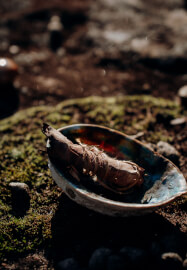 Learn to Protect and Deflect Energy