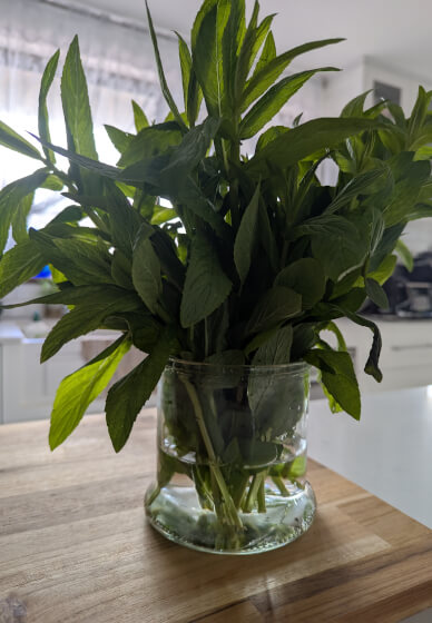Lebanese Falafel Making Class