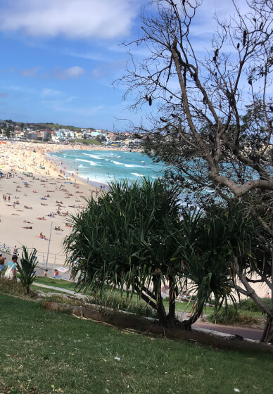 Grounding and Mindfulness Workshop for Inner Calm
