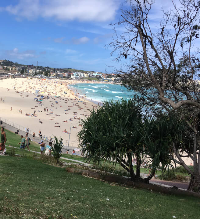 Grounding and Mindfulness Workshop for Inner Calm