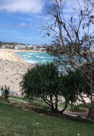 Grounding and Mindfulness Workshop for Inner Calm