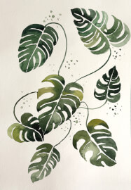 Loose Watercolour Flower Painting Class