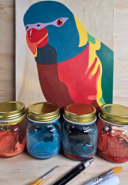 Lorikeet Painting Class for Beginners