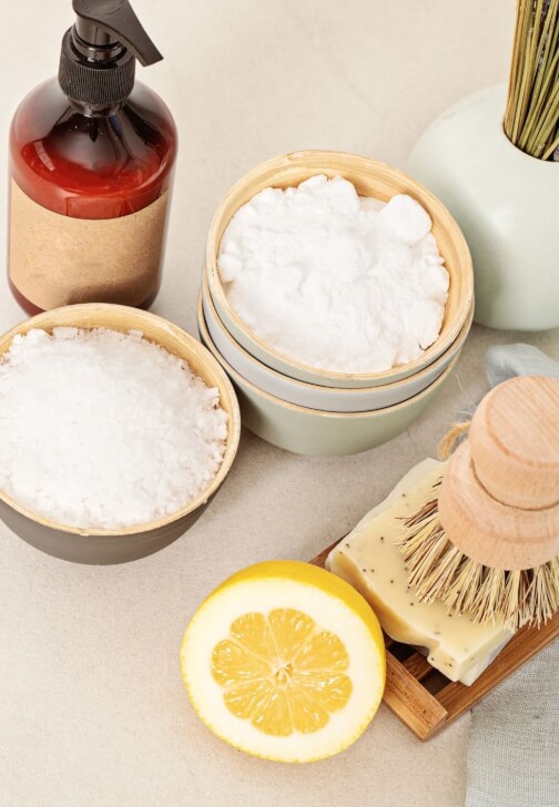 Low-Tox Green Cleaning Workshop