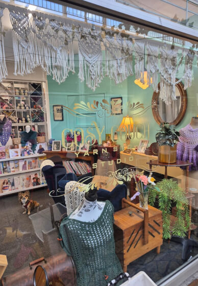 Macrame Plant Hanger Class