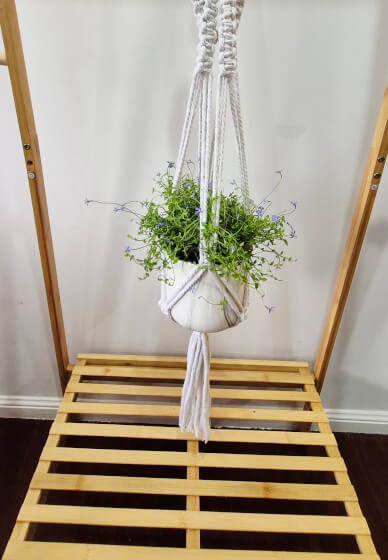 Macrame Plant Hanger Workshop