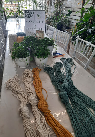 Macrame Plant Hanger Workshop