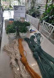 Macrame Plant Hanger Workshop