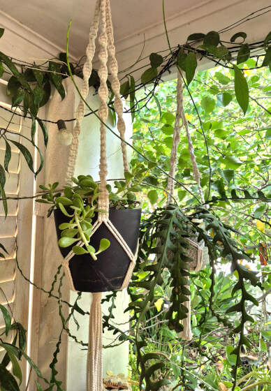 Macrame Plant Hanger Workshop