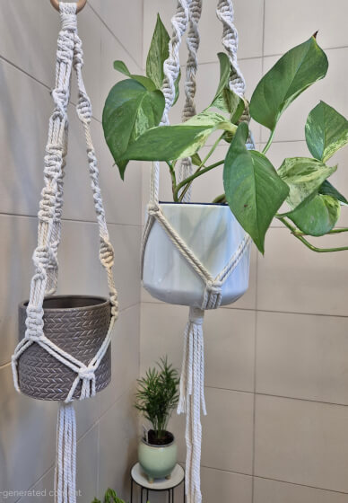 Macrame Plant Hanger Workshop