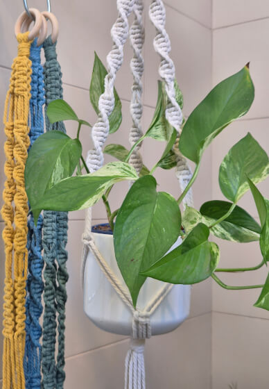Macrame Plant Hanger Workshop