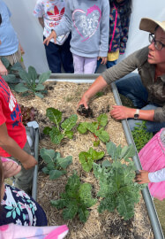 Maintenance and Pest Control Workshop: Just Start Gardening