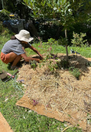 Maintenance and Pest Control Workshop: Just Start Gardening