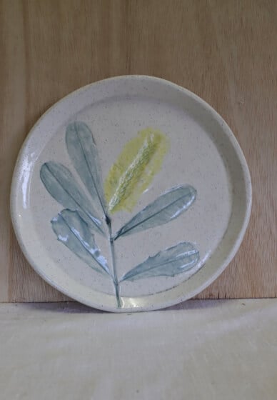 Make a 12 Piece Dinnerware Set: Pottery Course