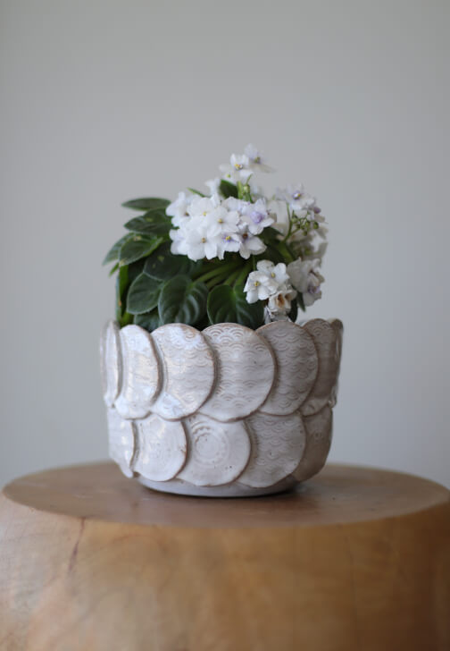 Make a Ceramic Planter Worksop