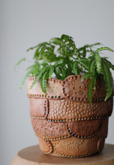 Make a Ceramic Planter Worksop