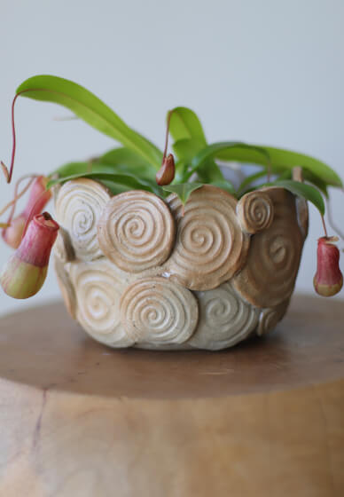 Make a Ceramic Planter Worksop