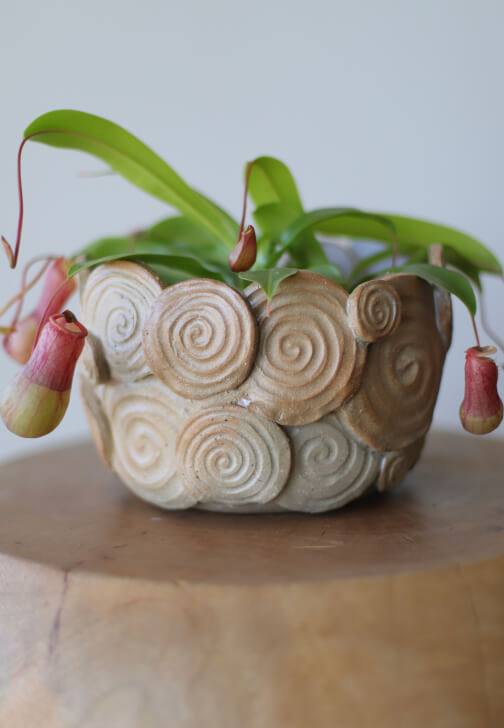 Make a Ceramic Planter Worksop