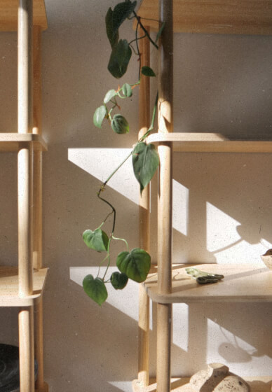 Make a Pottery Cheeseboard Class