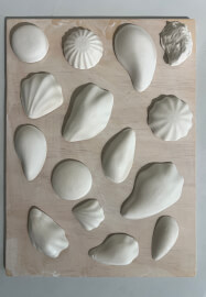 Make an Oyster Platter: Hand-Building Pottery Class