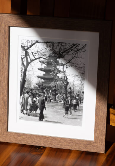 Make Traditional Photographs in a Darkroom Class