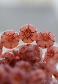 Make Your Own Beaded Earrings Kit and Workshop - Pink