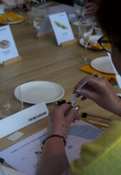 Make Your Own Perfume: Adults Perfume Kit