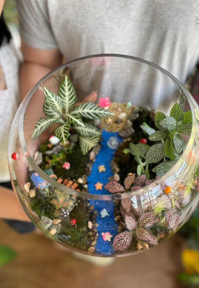 Make Your Own Terrarium Workshop
