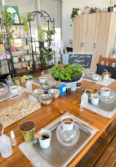 Make Your Own Terrarium Workshop