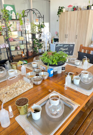 Make Your Own Terrarium Workshop