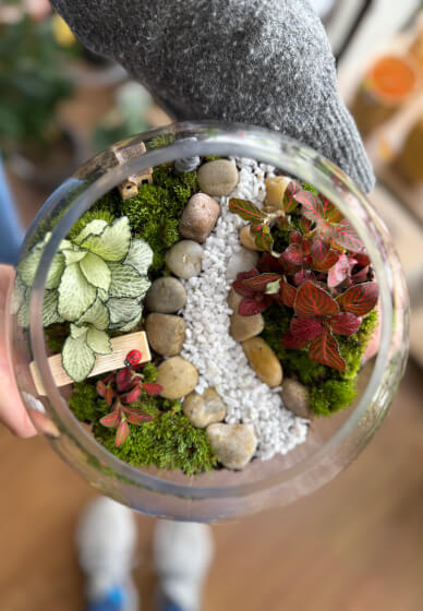 Make Your Own Terrarium Workshop