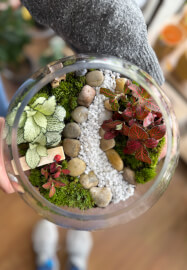 Make Your Own Terrarium Workshop