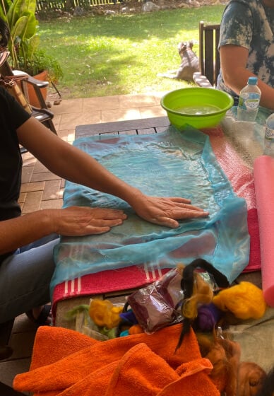 Wet Felting Workshop: Make Your Own Purse