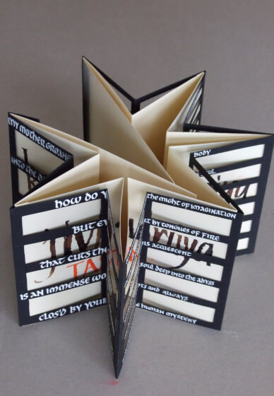 Making Star Books Workshop