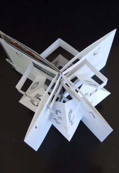 Making Star Books Workshop