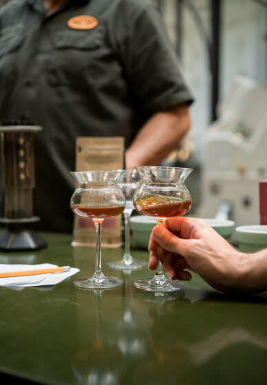 Manual Coffee Brewing Workshop