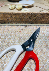 Meadow - Floral Wall Hanging Workshop