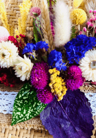 Meadow - Floral Wall Hanging Workshop