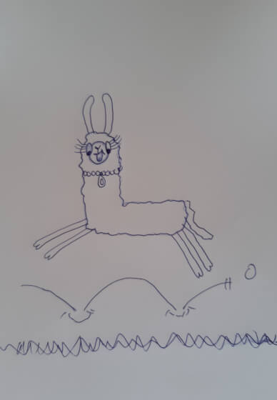 How to Draw the Llama
